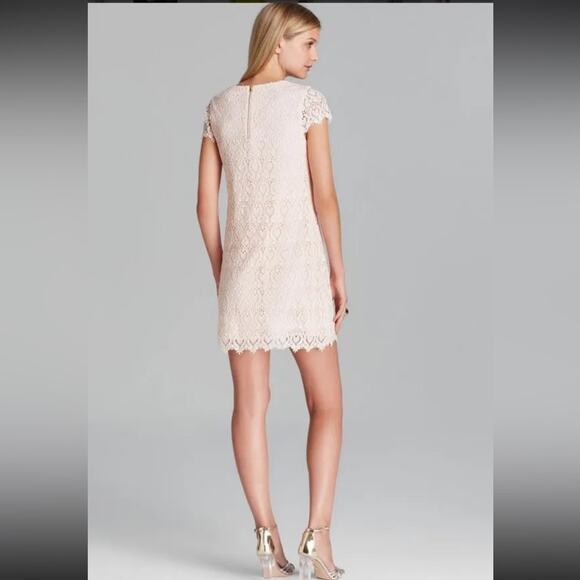 Cynthia Steffe | Reese Cap Sleeve Lace Shift Dress Size 2 - Picture 2 of 15